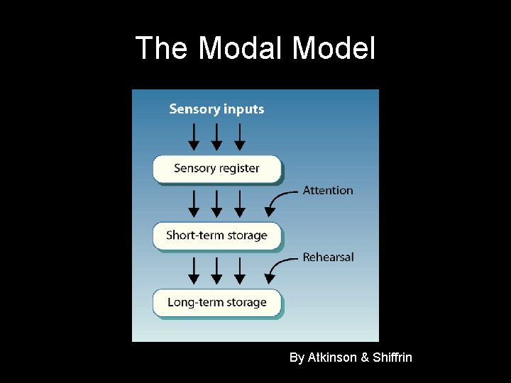 The Modal Model By Atkinson & Shiffrin 