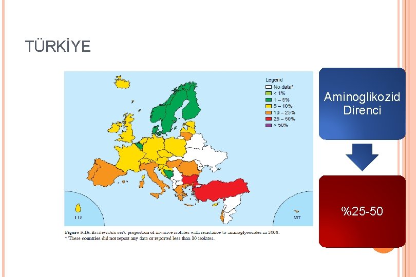 TÜRKİYE Aminoglikozid Direnci %25 -50 