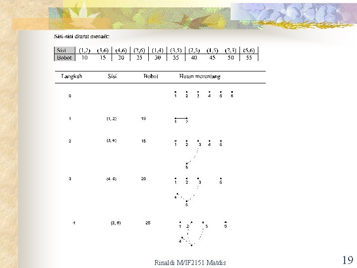 Rinaldi M/IF 2151 Matdis 19 