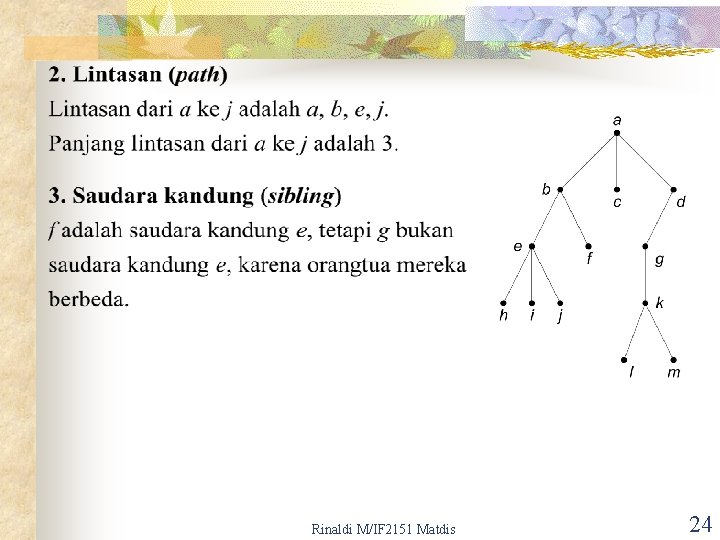 Rinaldi M/IF 2151 Matdis 24 