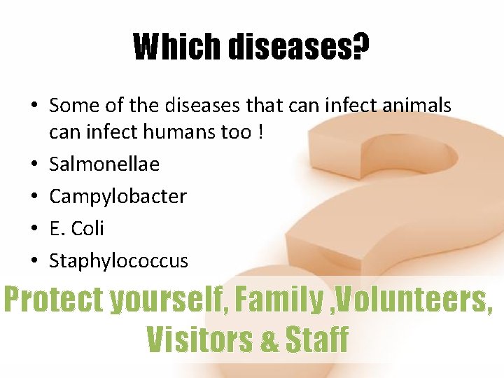 Which diseases? • Some of the diseases that can infect animals can infect humans
