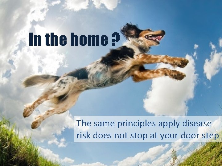In the home ? The same principles apply disease risk does not stop at
