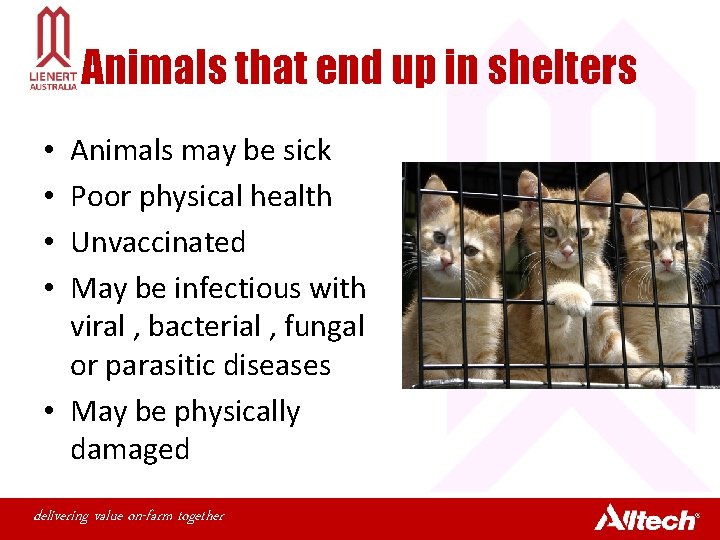 Animals that end up in shelters Animals may be sick Poor physical health Unvaccinated