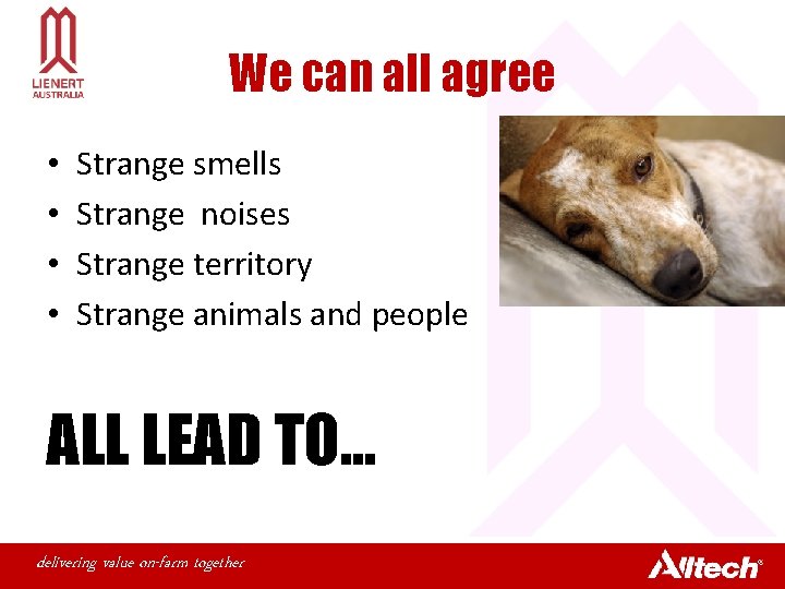 We can all agree • • Strange smells Strange noises Strange territory Strange animals