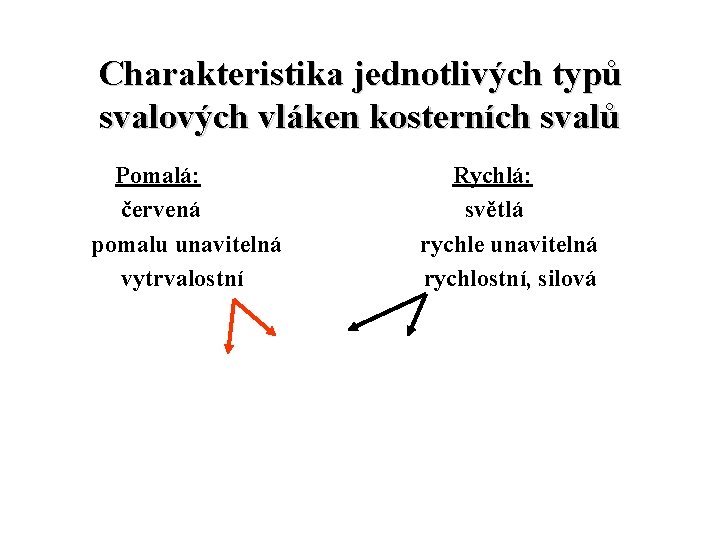 Charakteristika jednotlivých typů svalových vláken kosterních svalů Pomalá: červená pomalu unavitelná vytrvalostní Rychlá: světlá