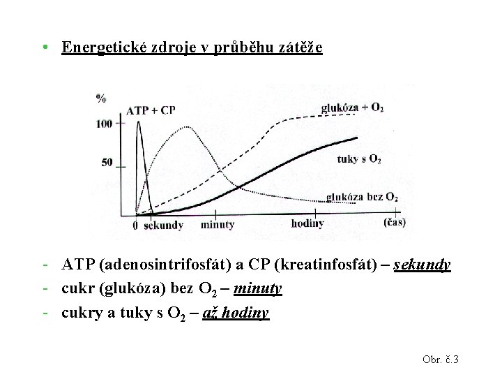  • Energetické zdroje v průběhu zátěže - ATP (adenosintrifosfát) a CP (kreatinfosfát) –