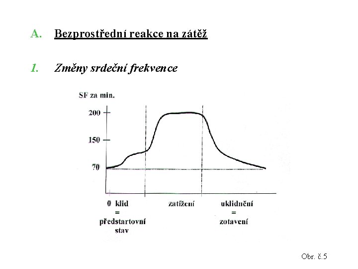 A. Bezprostřední reakce na zátěž 1. Změny srdeční frekvence Obr. č. 5 A. Bezprostřední reakce na zátěž 1. Změny srdeční frekvence Obr. č. 5