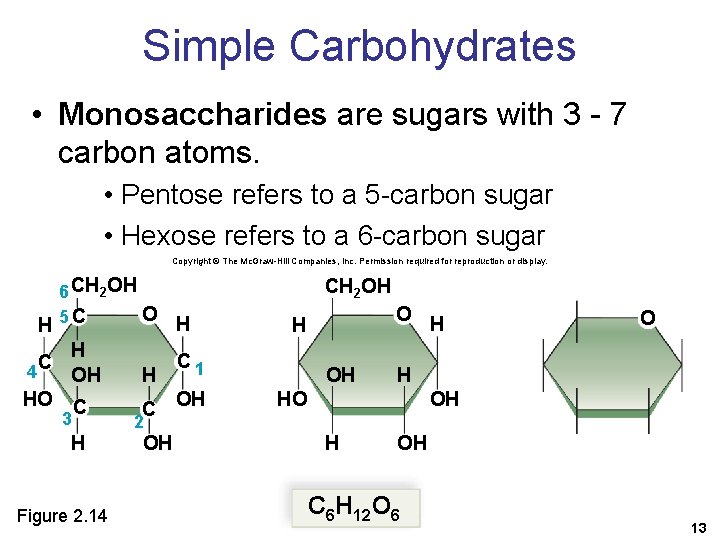 Simple Carbohydrates • Monosaccharides are sugars with 3 - 7 carbon atoms. • Pentose