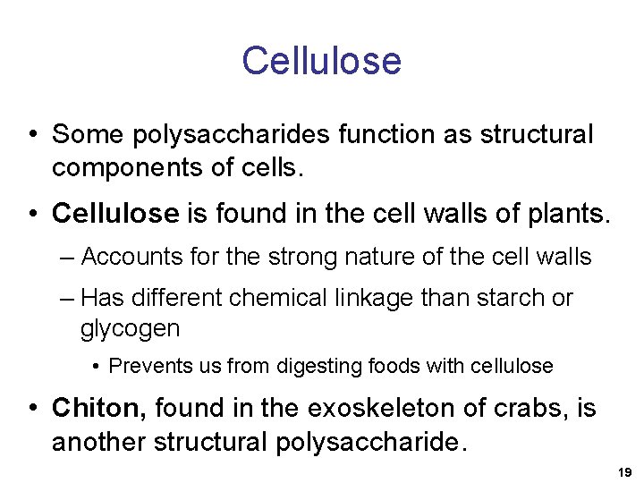 Cellulose • Some polysaccharides function as structural components of cells. • Cellulose is found