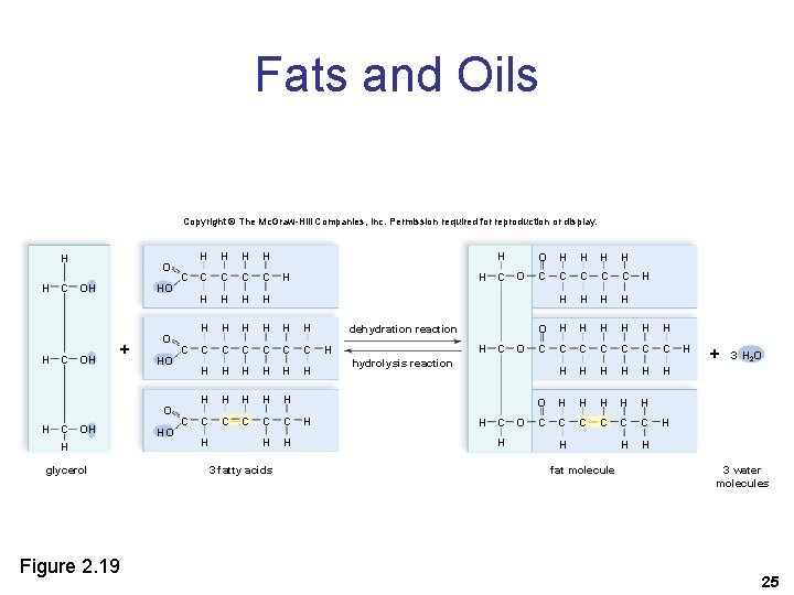 Fats and Oils Copyright © The Mc. Graw-Hill Companies, Inc. Permission required for reproduction