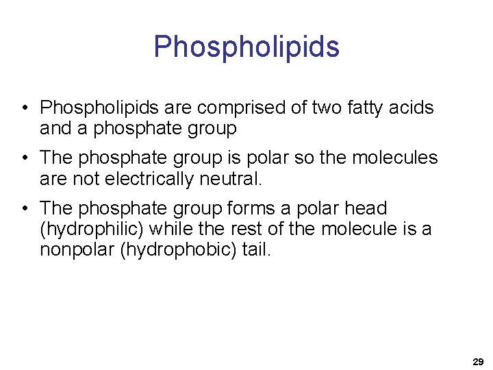 Phospholipids • Phospholipids are comprised of two fatty acids and a phosphate group •