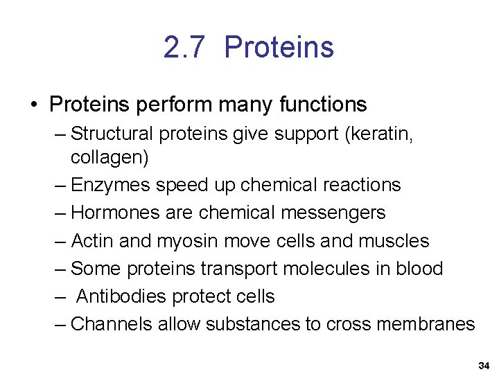 2. 7 Proteins • Proteins perform many functions – Structural proteins give support (keratin,