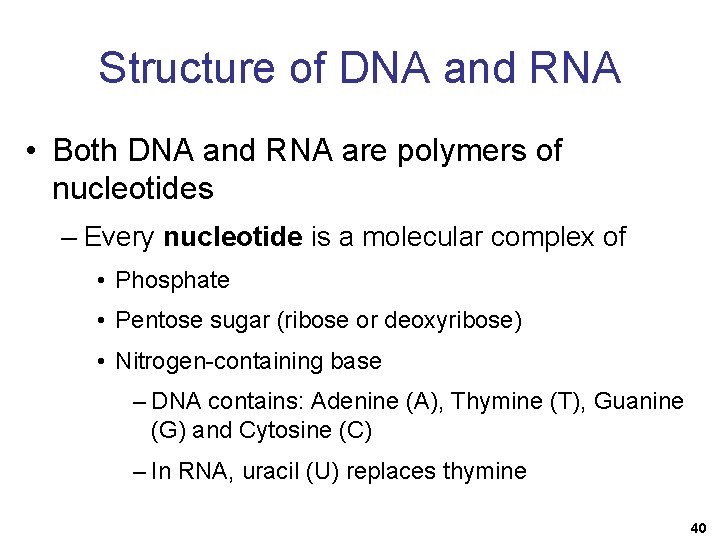 Structure of DNA and RNA • Both DNA and RNA are polymers of nucleotides