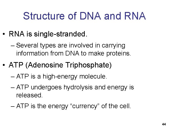 Structure of DNA and RNA • RNA is single-stranded. – Several types are involved