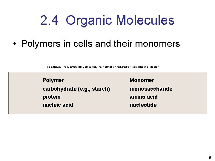 2. 4 Organic Molecules • Polymers in cells and their monomers Copyright © The