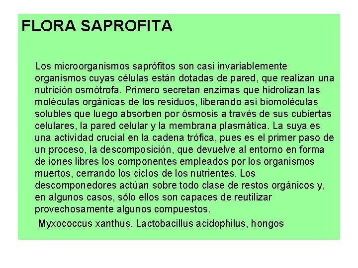FLORA SAPROFITA Los microorganismos saprófitos son casi invariablemente organismos cuyas células están dotadas de
