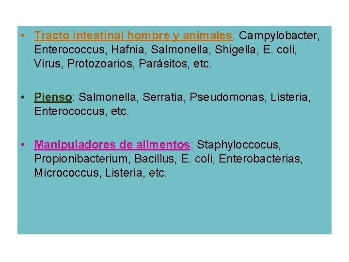  • Tracto intestinal hombre y animales: Campylobacter, Enterococcus, Hafnia, Salmonella, Shigella, E. coli,