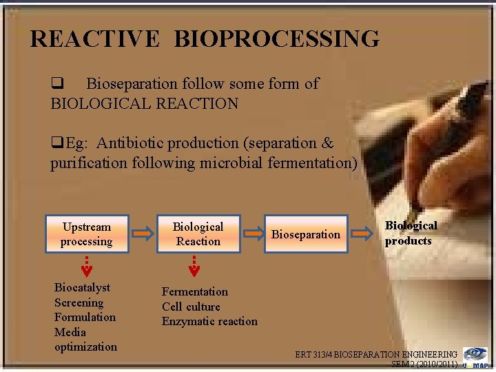 REACTIVE BIOPROCESSING q Bioseparation follow some form of BIOLOGICAL REACTION q. Eg: Antibiotic production