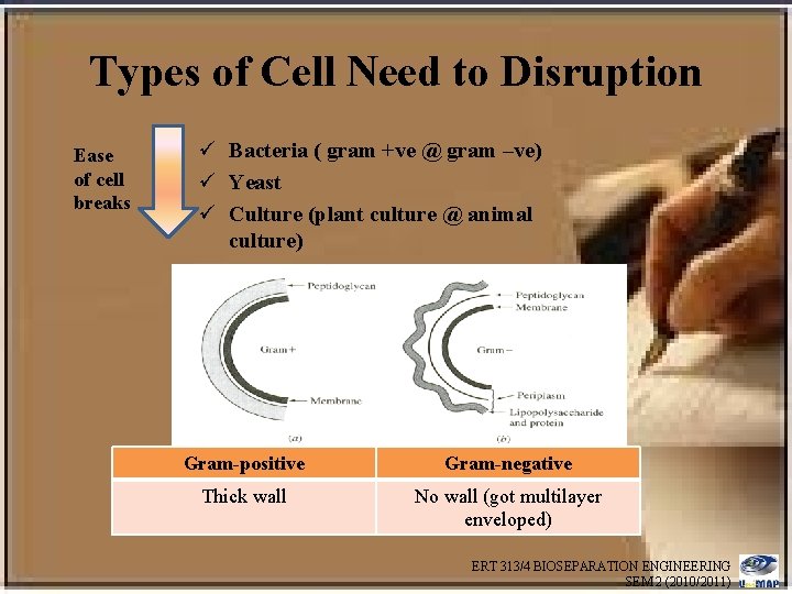 Types of Cell Need to Disruption Ease of cell breaks ü Bacteria ( gram