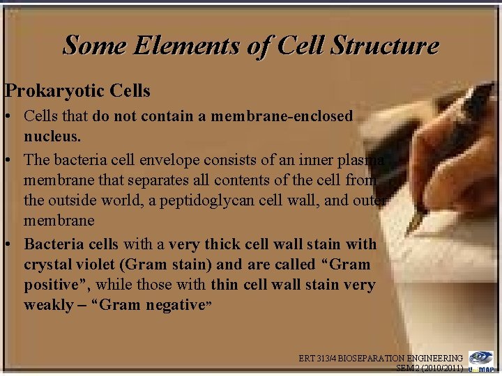 Some Elements of Cell Structure Prokaryotic Cells • Cells that do not contain a