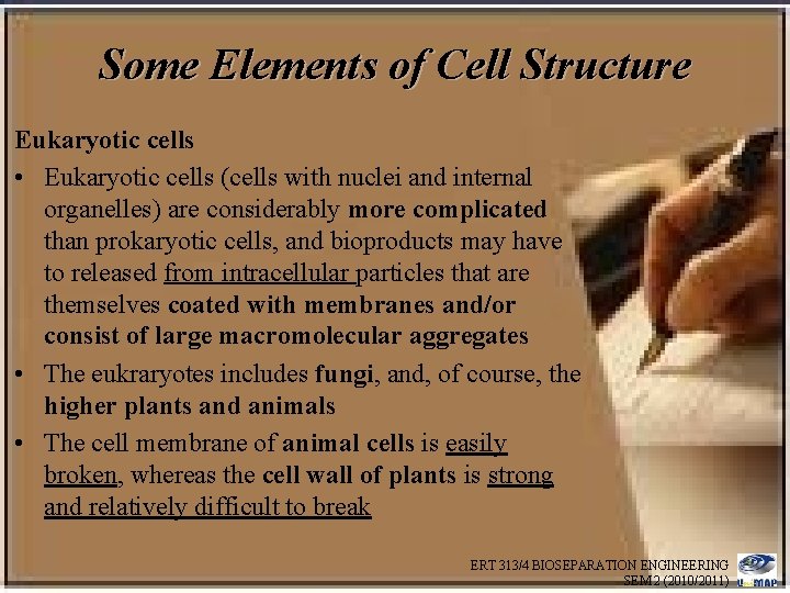 Some Elements of Cell Structure Eukaryotic cells • Eukaryotic cells (cells with nuclei and