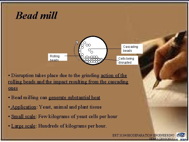 Bead mill Cascading beads Rolling beads Cells being disrupted • Disruption takes place due