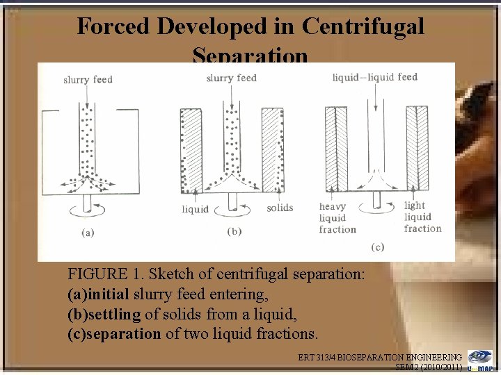 Forced Developed in Centrifugal Separation FIGURE 1. Sketch of centrifugal separation: (a)initial slurry feed