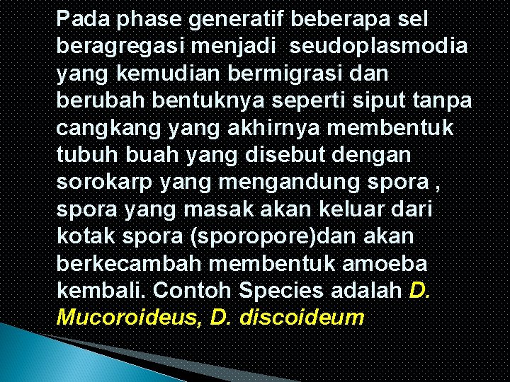 Pada phase generatif beberapa sel beragregasi menjadi seudoplasmodia yang kemudian bermigrasi dan berubah bentuknya