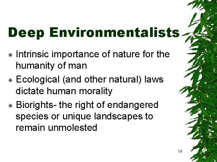 Deep Environmentalists Intrinsic importance of nature for the humanity of man Ecological (and other