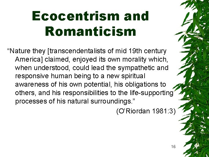 Ecocentrism and Romanticism “Nature they [transcendentalists of mid 19 th century America] claimed, enjoyed