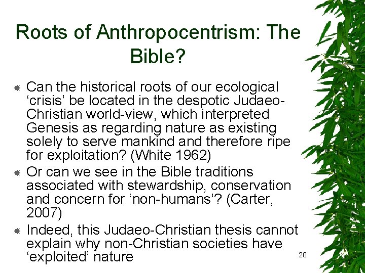Roots of Anthropocentrism: The Bible? Can the historical roots of our ecological ‘crisis’ be