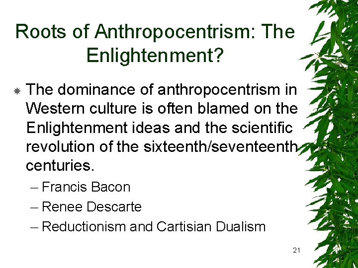 Roots of Anthropocentrism: The Enlightenment? The dominance of anthropocentrism in Western culture is often