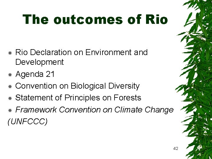 The outcomes of Rio Declaration on Environment and Development Agenda 21 Convention on Biological