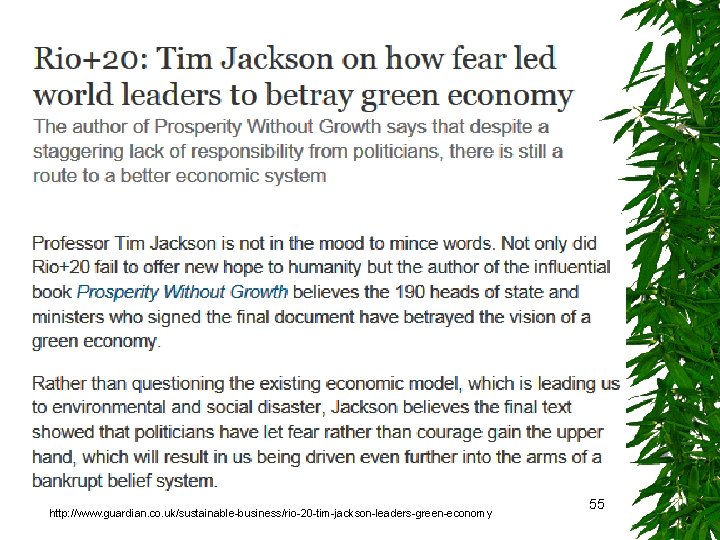 http: //www. guardian. co. uk/sustainable-business/rio-20 -tim-jackson-leaders-green-economy 55 