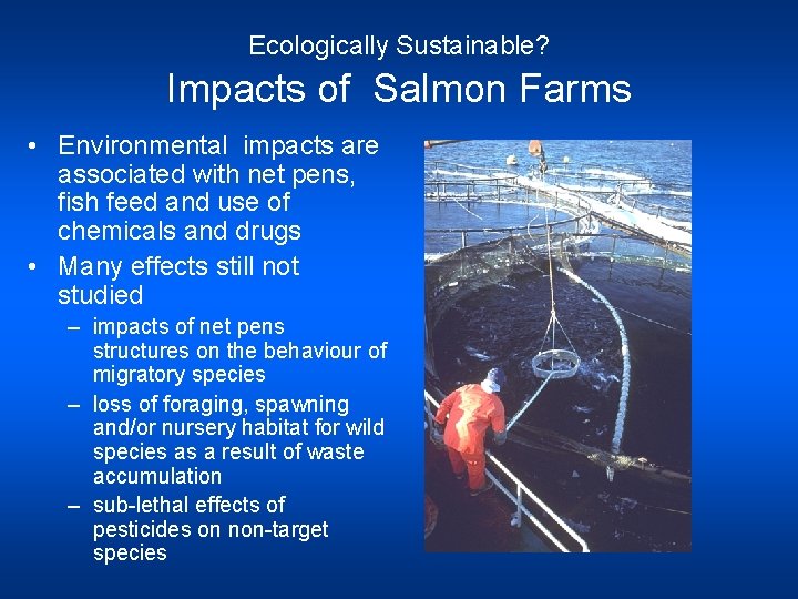 Ecologically Sustainable? Impacts of Salmon Farms • Environmental impacts are associated with net pens,