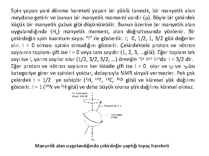 Spin yapan yani dönme hareketi yapan bir yüklü tanecik, bir manyetik alan meydana getirir