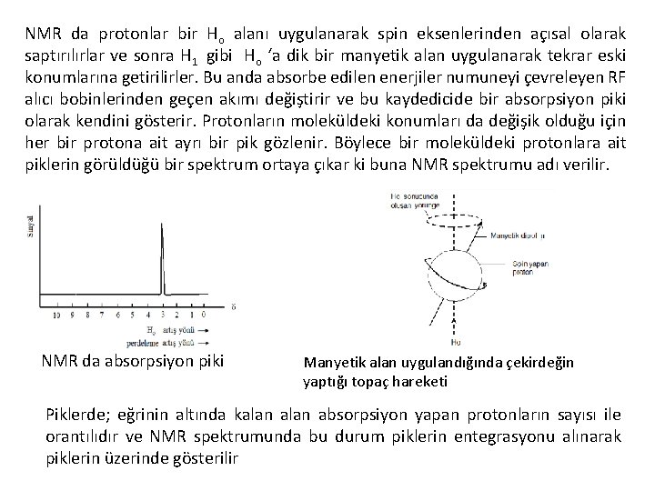 NMR da protonlar bir Ho alanı uygulanarak spin eksenlerinden açısal olarak saptırılırlar ve sonra