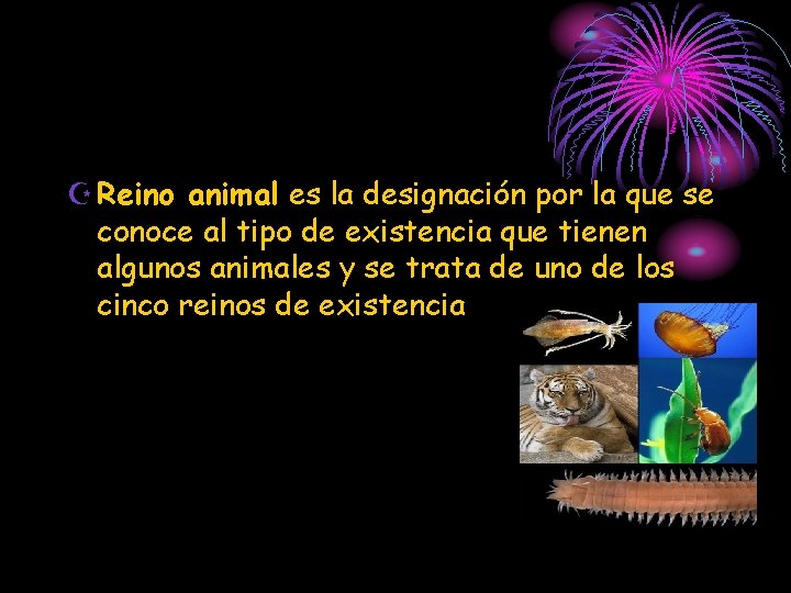 Z Reino animal es la designación por la que se conoce al tipo de