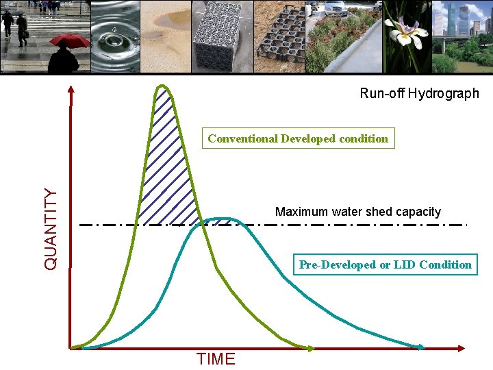 Run-off Hydrograph QUANTITY Conventional Developed condition Maximum water shed capacity Pre-Developed or LID Condition