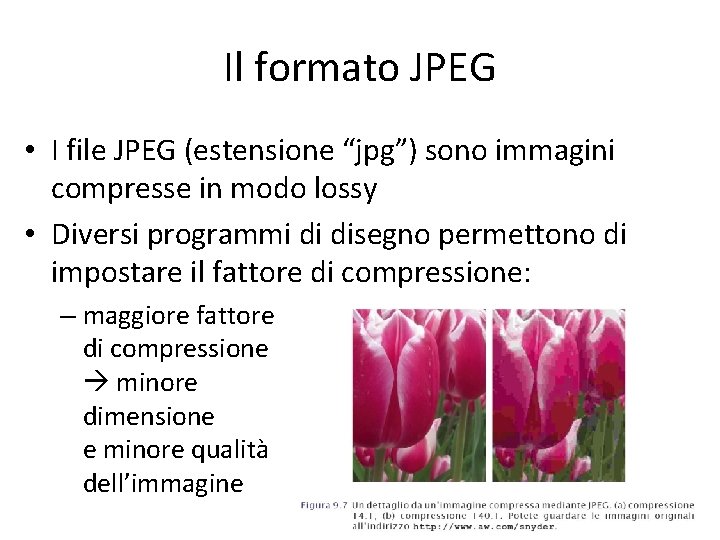 Il formato JPEG • I file JPEG (estensione “jpg”) sono immagini compresse in modo