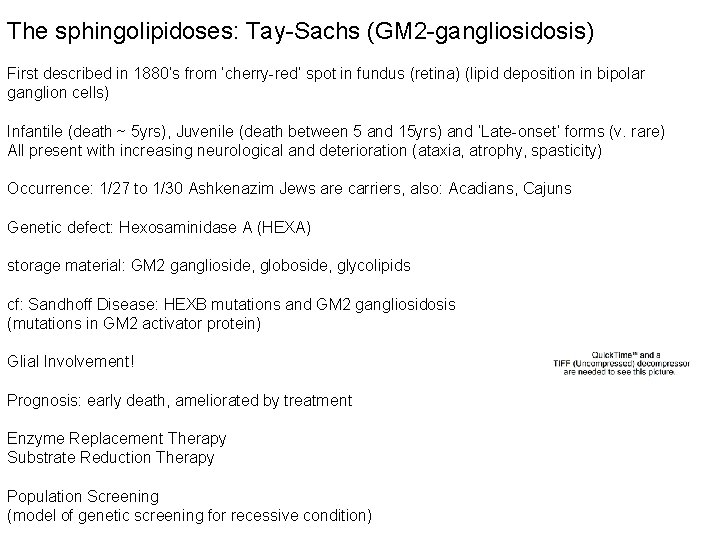 The sphingolipidoses: Tay-Sachs (GM 2 -gangliosidosis) First described in 1880’s from ‘cherry-red’ spot in