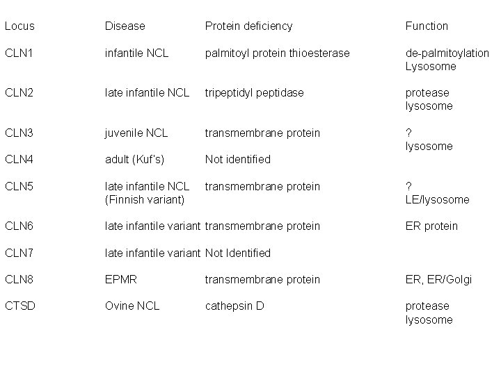 Locus Disease Protein deficiency Function CLN 1 infantile NCL palmitoyl protein thioesterase de-palmitoylation Lysosome