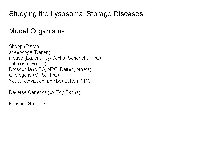 Studying the Lysosomal Storage Diseases: Model Organisms Sheep (Batten) sheepdogs (Batten) mouse (Batten, Tay-Sachs,