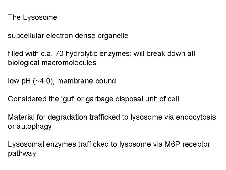 The Lysosome subcellular electron dense organelle filled with c. a. 70 hydrolytic enzymes: will