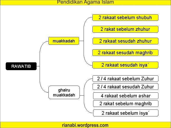2 rakaat sebelum shubuh 2 rakat sebelum zhuhur muakkadah 2 rakaat sesudah zhuhur 2