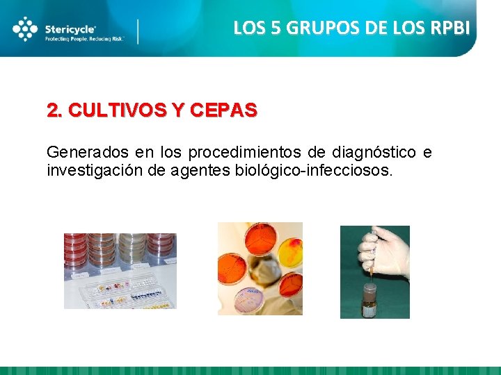 LOS 5 GRUPOS DE LOS RPBI 2. CULTIVOS Y CEPAS Generados en los procedimientos