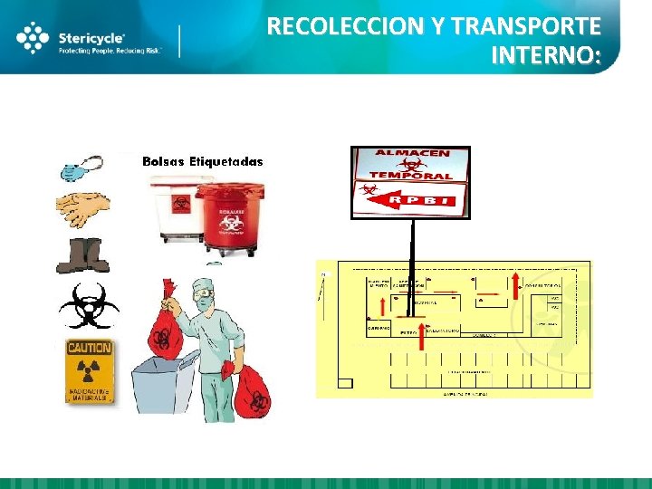 RECOLECCION Y TRANSPORTE INTERNO: 