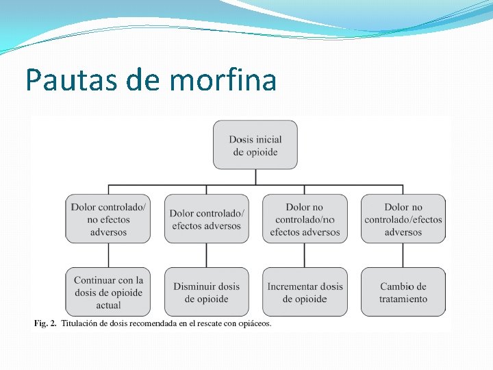 Pautas de morfina 