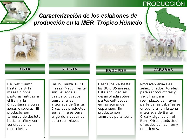 PRODUCCIÓN Caracterización de los eslabones de producción en la MER Trópico Húmedo PRODUCCION CRIA