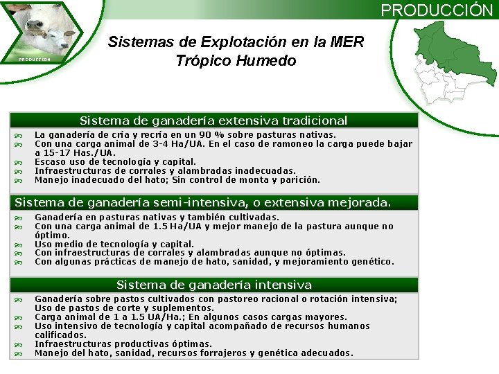 PRODUCCIÓN PRODUCCION Sistemas de Explotación en la MER Trópico Humedo Sistema de ganadería extensiva